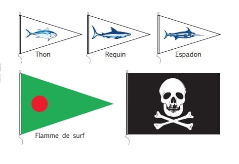 Tout savoir sur les flammes de baignade
