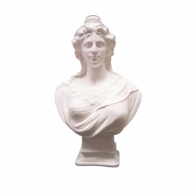 dejean-drapeaux-buste-de-marianne