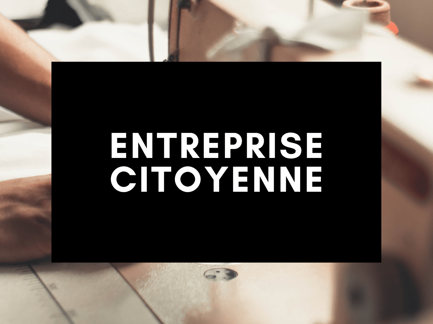 drapeaux-dejean-marine-entreprise-citoyenne