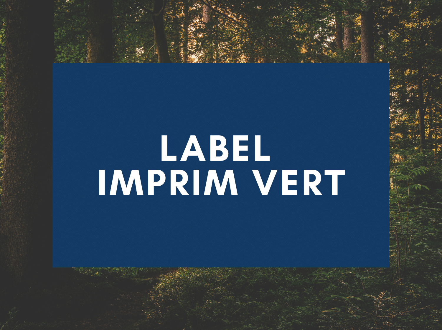 drapeaux-dejean-marine-label-imprim-vert