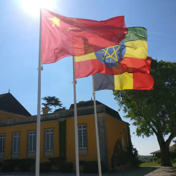 drapeaux_chateau_lafon-rocher