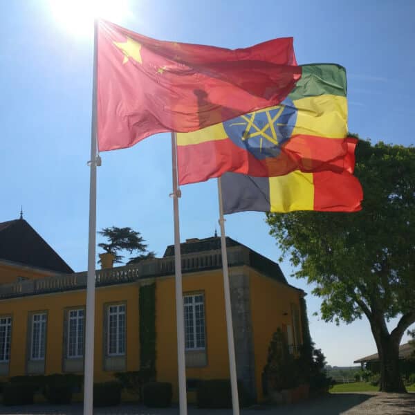 drapeaux-dejean-marine-chateau-lafon-rochet